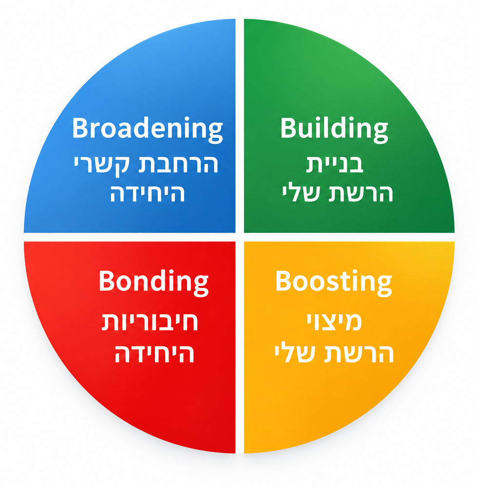 מודל 4B לעבודה עם הרשת