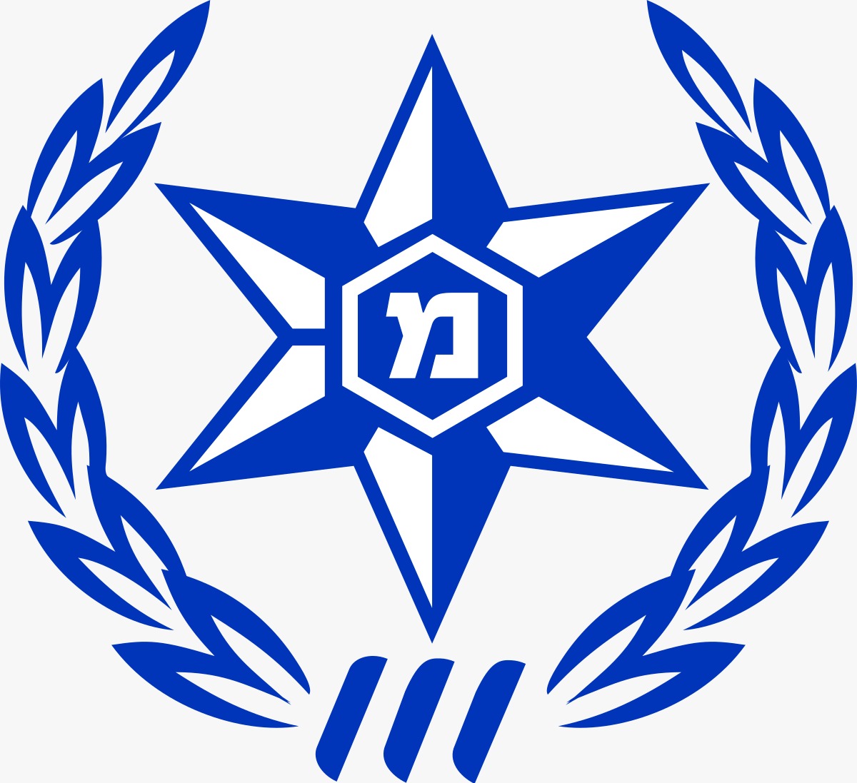משטרת ישראל משטרת ישראל